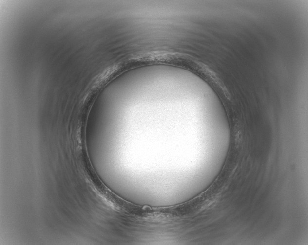 X0000053020633200508051227