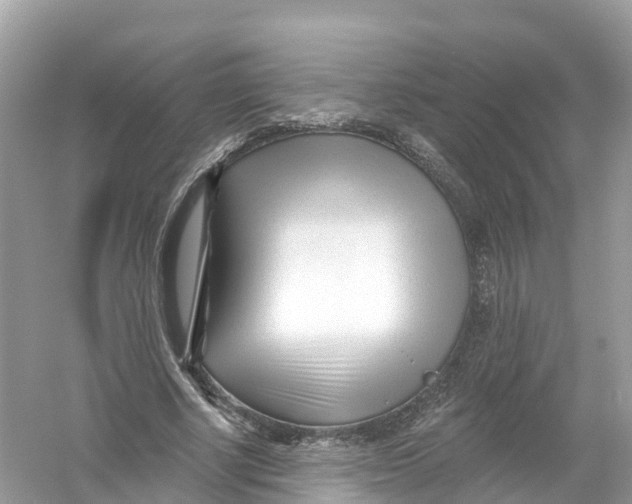 X0000053020634200508051227