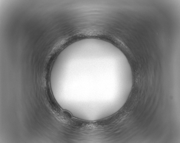X0000053020635200508051227