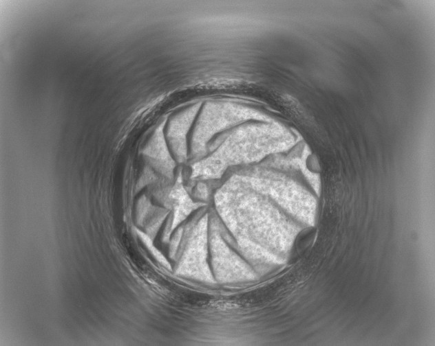 X0000053020640200508051228