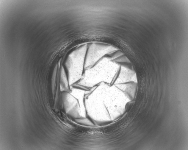 X0000053020644200508051228