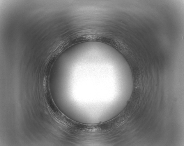 X0000053020646200508051228