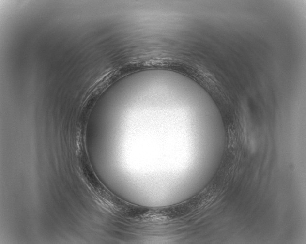 X0000053020648200508051228