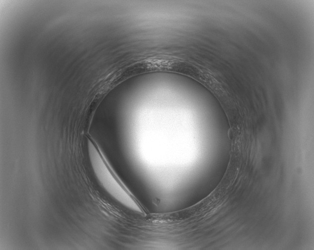 X0000053020649200508051228
