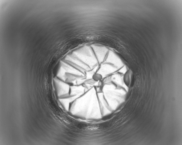 X0000053020651200508051228