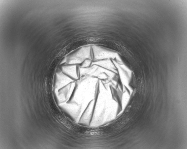 X0000053020655200508051228