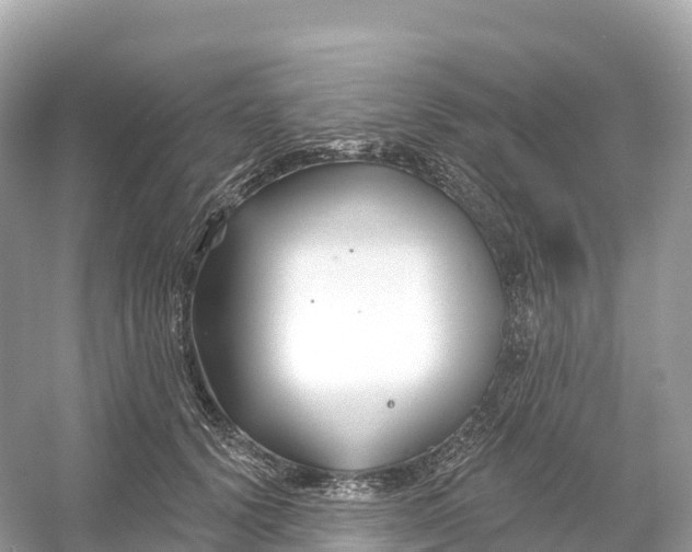 X0000053020656200508051228