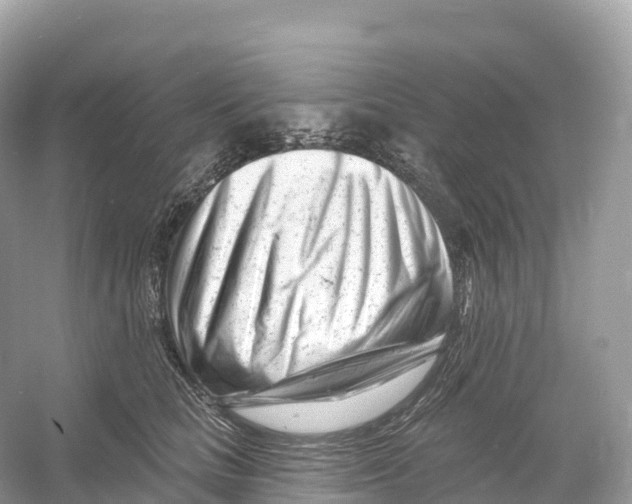 X0000053020661200508051228