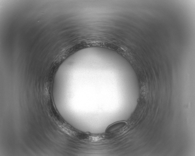 X0000053020662200508051228