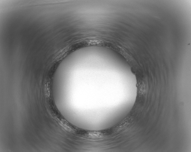 X0000053020666200508051228