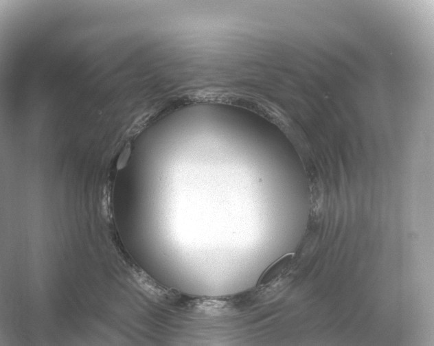X0000053020669200508051228
