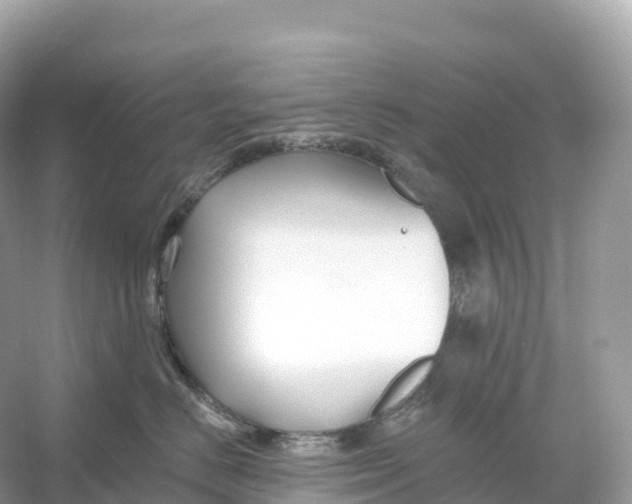 X0000053020670200508051228