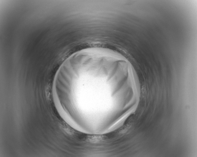 X0000053020671200508051228