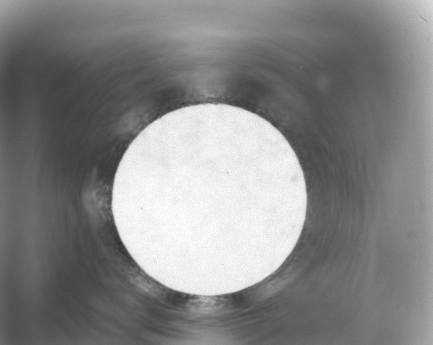 X0000053020672200508051228