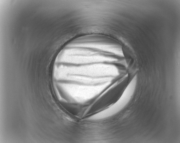 X0000053020673200508051227