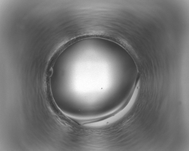 X0000053020676200508051227