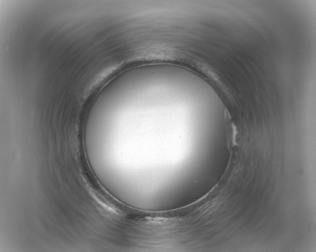 X0000053020677200508051227