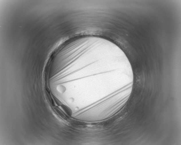 X0000053020678200508051227