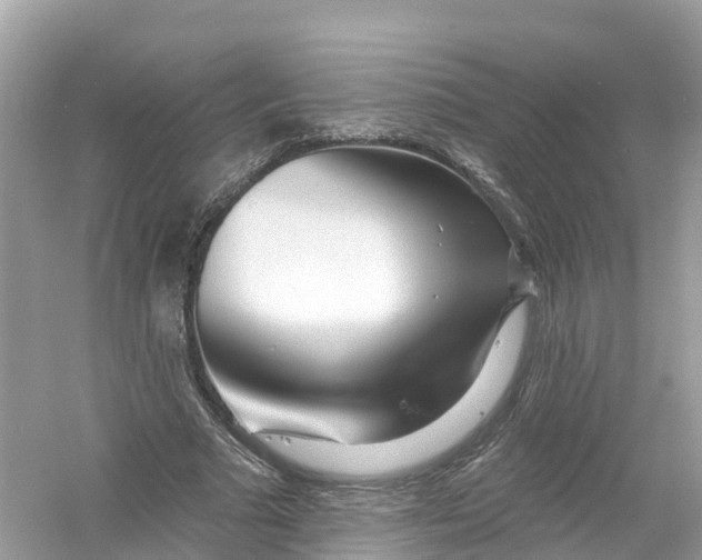 X0000053020681200508051227