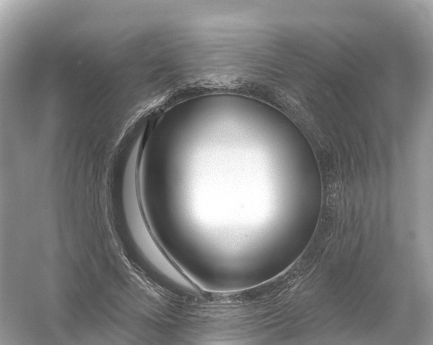 X0000053020688200508051227