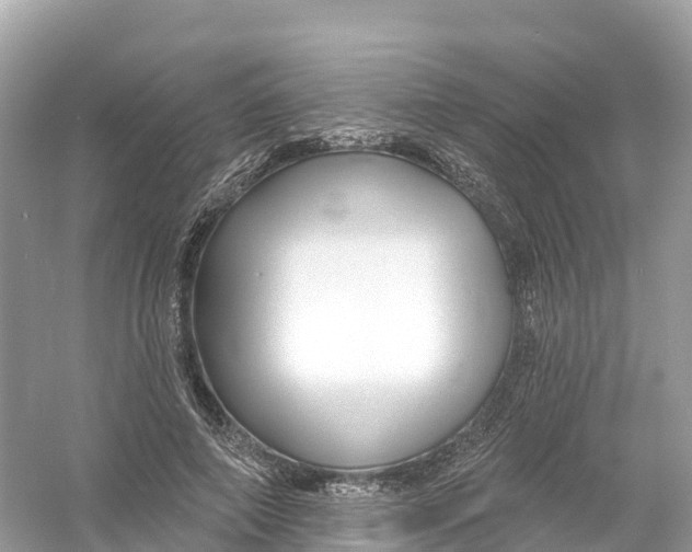 X0000053020690200508051227
