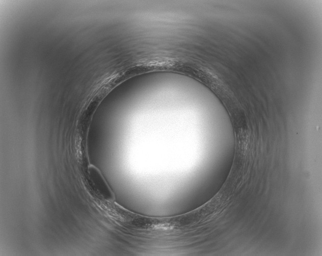 X0000053020692200508051227