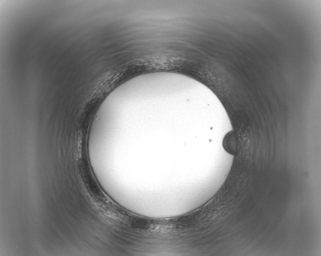 X0000053020694200508051227