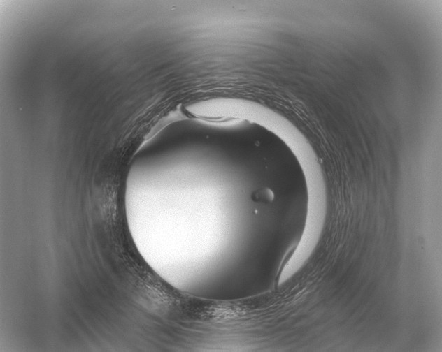 X0000053020697200508051227