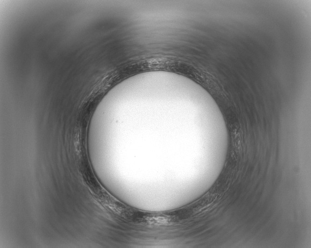 X0000053020698200508051227