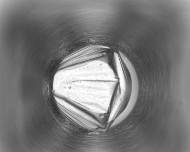 X0000053020703200508051227