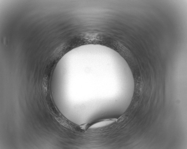 X0000053020710200508051227