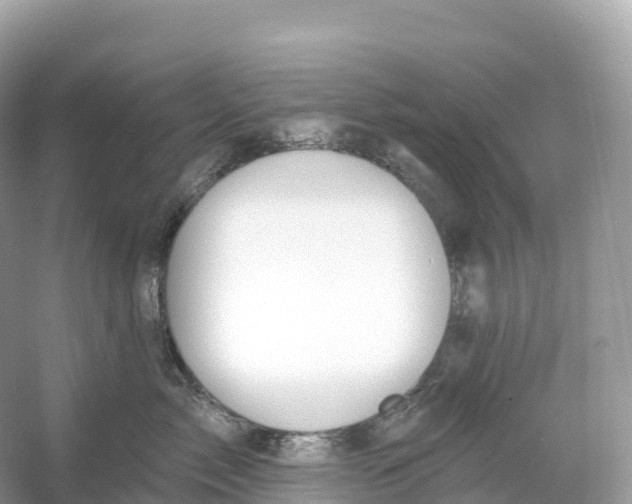 X0000053020717200508051227