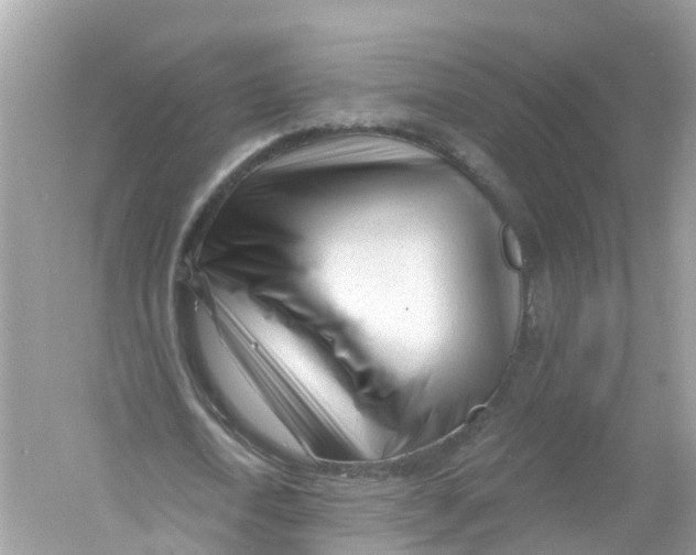 X0000053020722200508051226