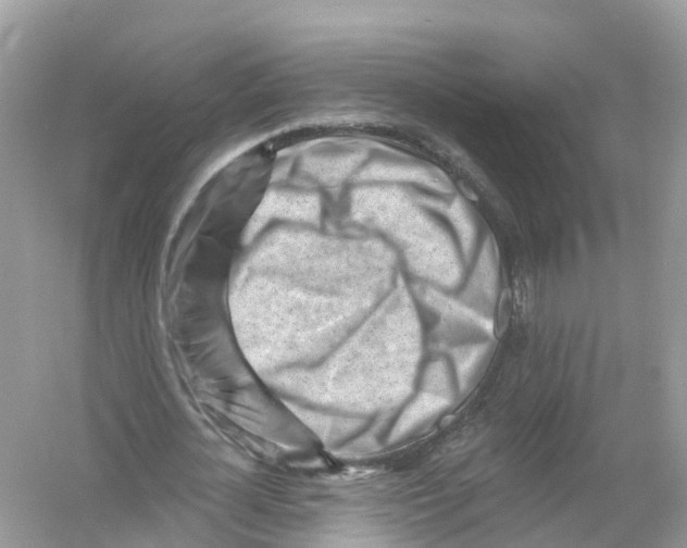 X0000053020724200508051226