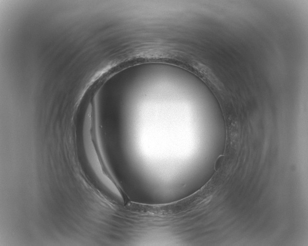 X0000053020727200508051226