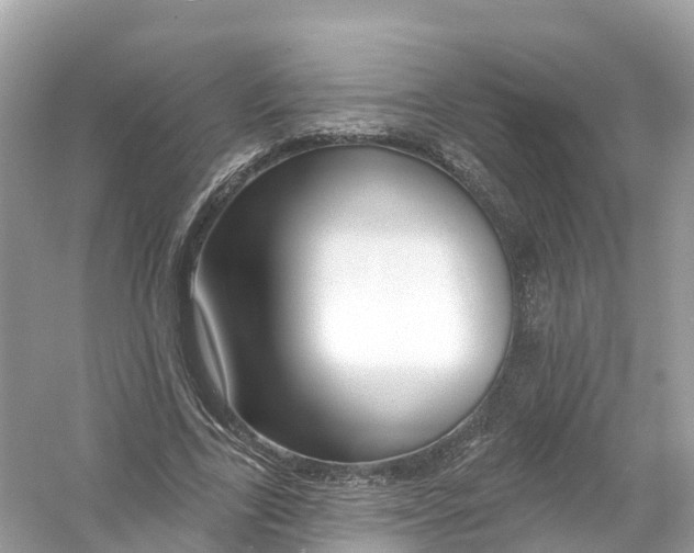 X0000053020731200508051226
