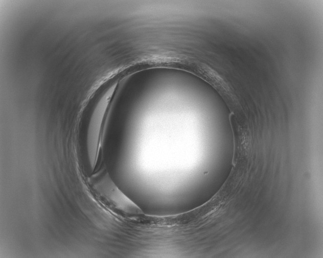 X0000053020732200508051226