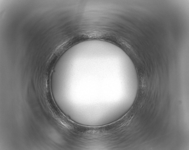 X0000053020733200508051226