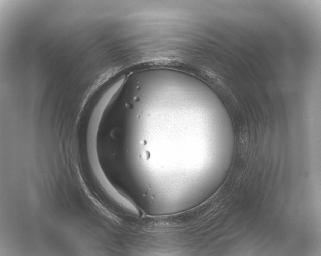 X0000053020734200508051226