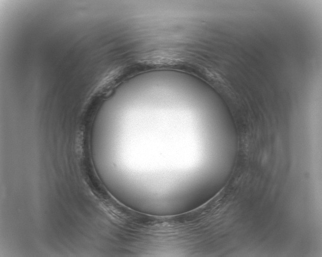 X0000053020735200508051226