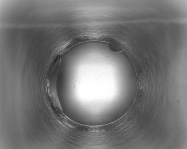 X0000053020740200508051226