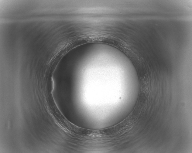 X0000053020742200508051226