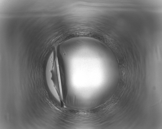 X0000053020745200508051226
