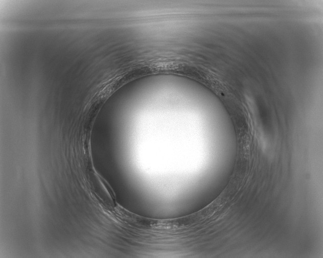 X0000053020746200508051226