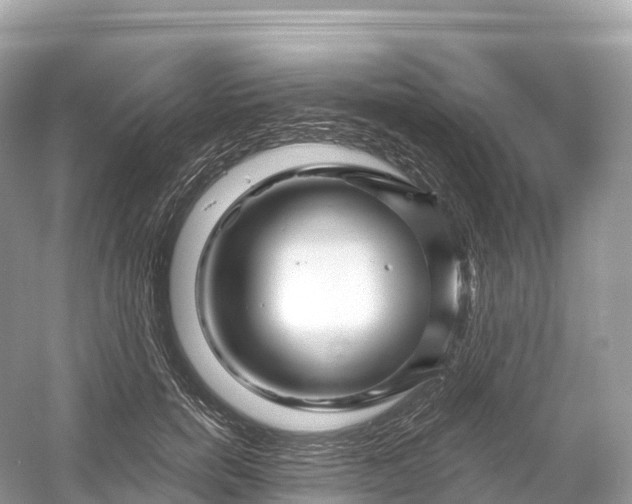 X0000053020750200508051226