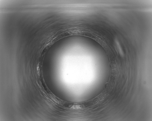 X0000053020751200508051226