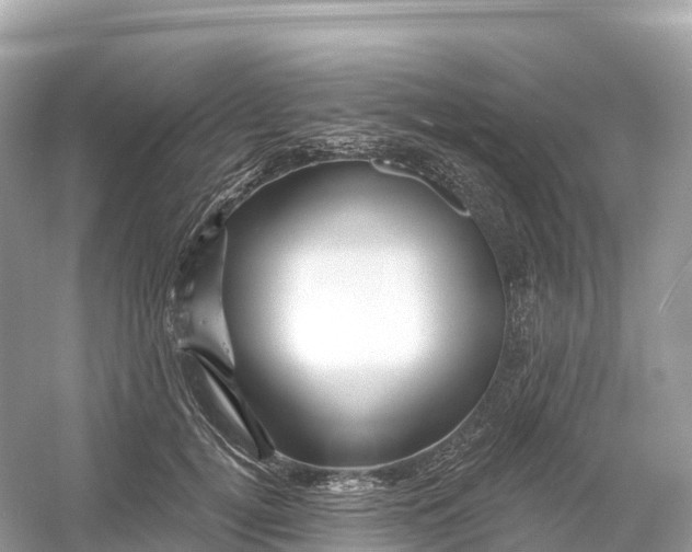 X0000053020752200508051226