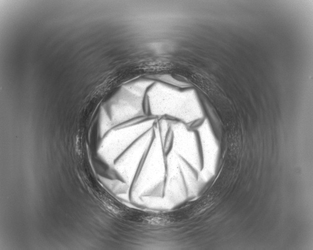 X0000053020755200508051226