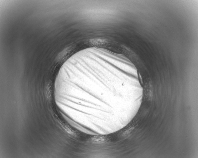 X0000053020762200508051226
