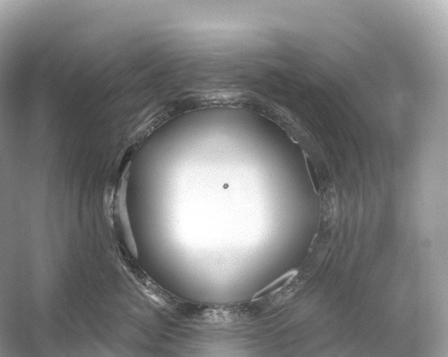 X0000053020764200508051226